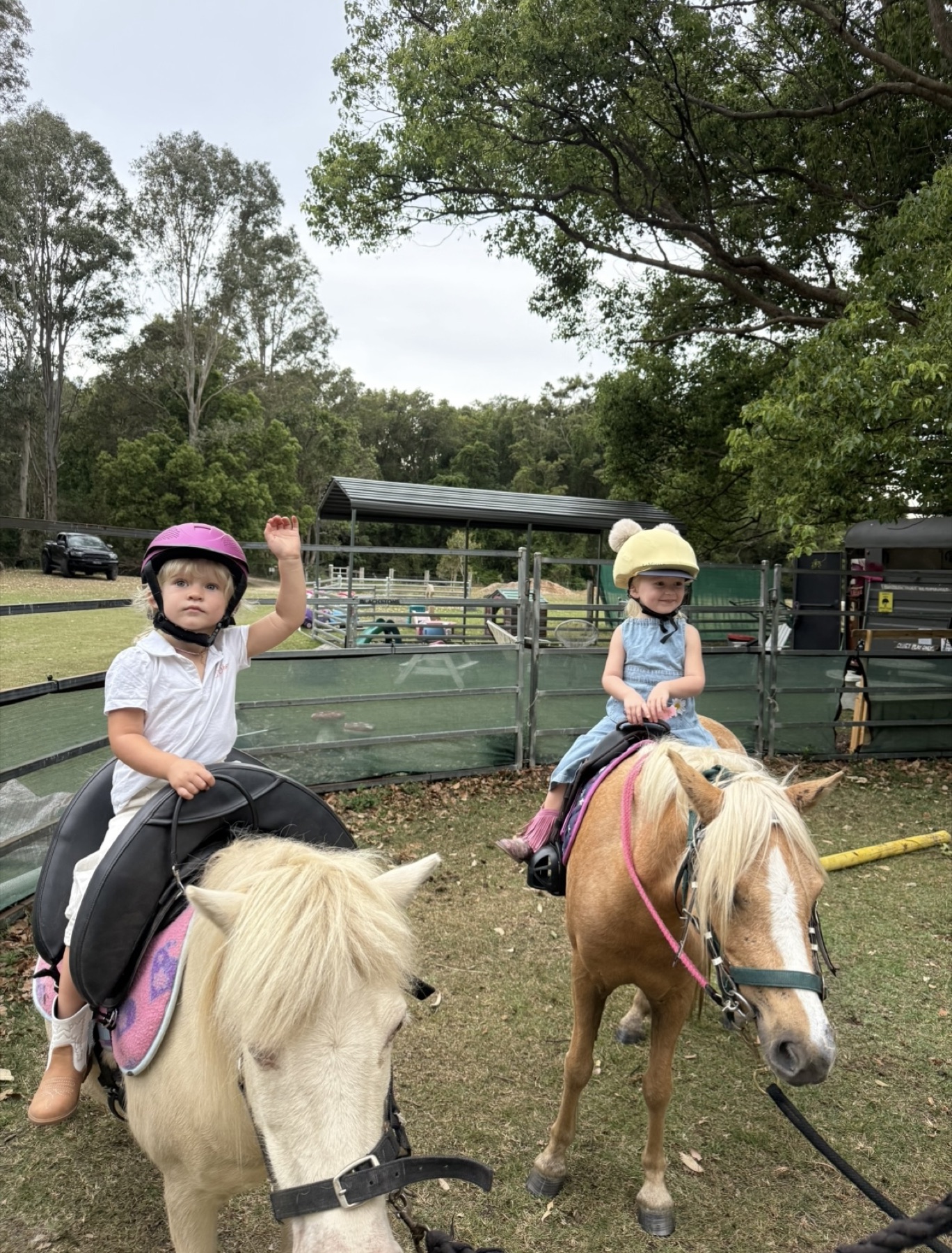 A young child meeting a Little Oaks pony