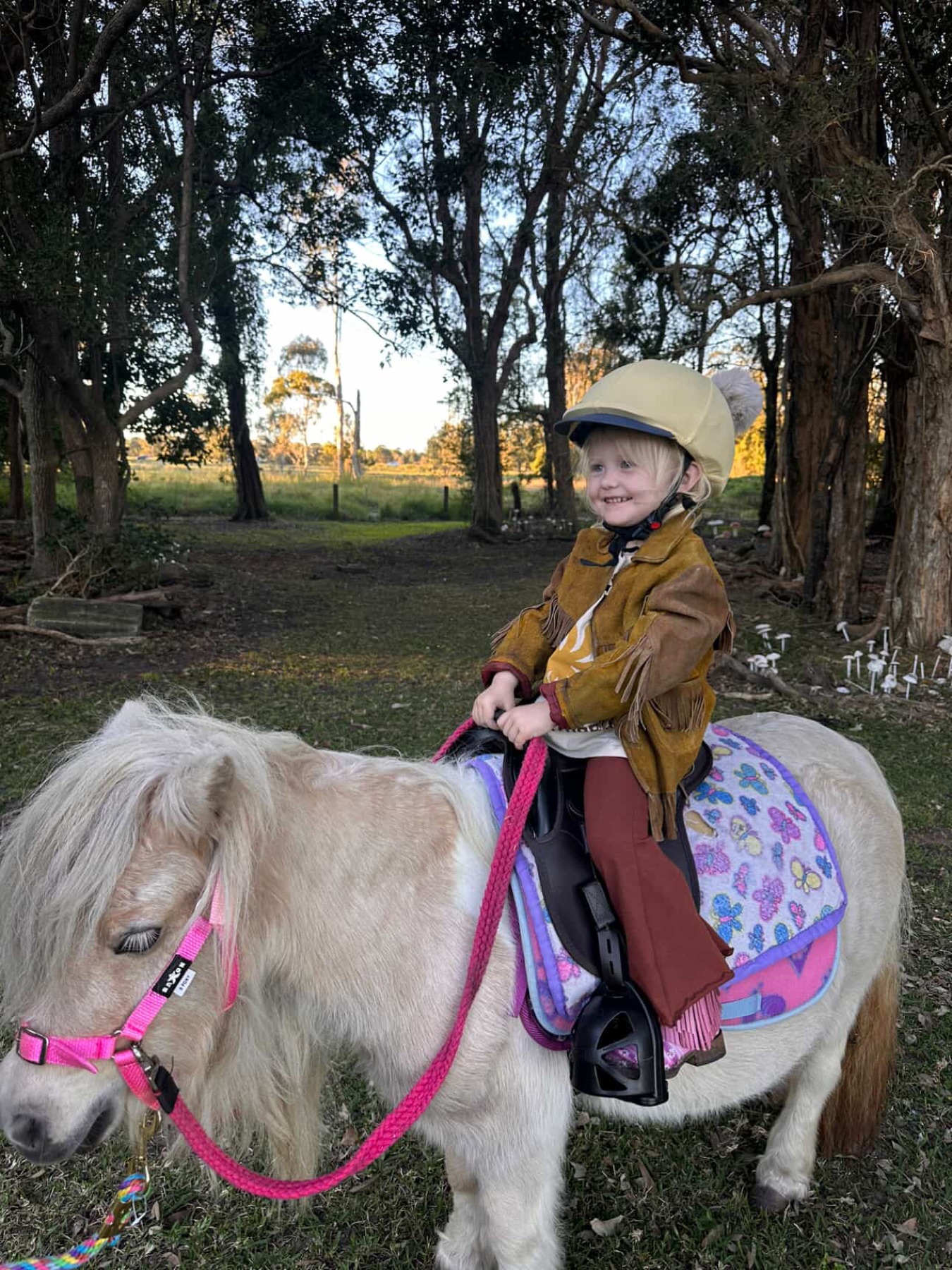 A child dressed as a fairy enjoying a gentle pony ride